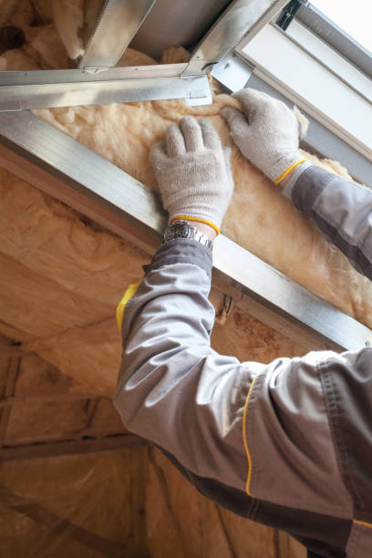 Best Geographic-Specific Insulation Services in Steelton, PA
