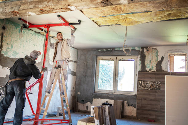 Best Cellulose Insulation in Steelton, PA