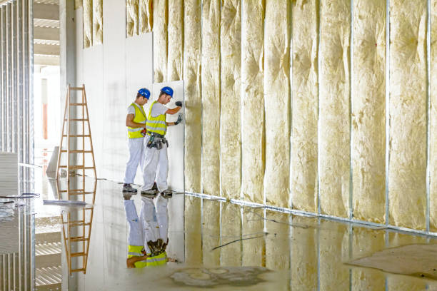 Best Energy Efficiency Insulation in Steelton, PA